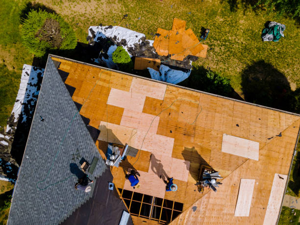 Gutter Installation and Roofing in Iota, LA